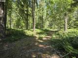  Loowit Ln - Photo 20