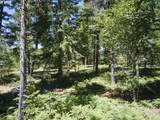  Loowit Ln - Photo 22