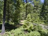  Loowit Ln - Photo 23