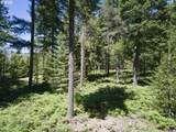  Loowit Ln - Photo 3