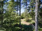  Loowit Ln - Photo 31