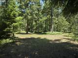  Loowit Ln - Photo 5