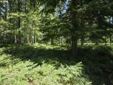  Loowit Ln - Photo 8