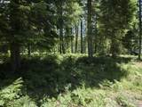  Loowit Ln - Photo 9
