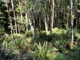1 Eden Valley Rd - Photo 8