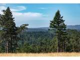 28797 Petes Mountain Rd - Photo 1