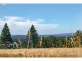 28797 Petes Mountain Rd - Photo 10