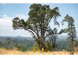 28797 Petes Mountain Rd - Photo 13