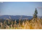 28797 Petes Mountain Rd - Photo 14