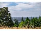 28797 Petes Mountain Rd - Photo 15