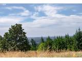 28797 Petes Mountain Rd - Photo 16