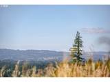 28797 Petes Mountain Rd - Photo 17