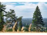 28797 Petes Mountain Rd - Photo 2