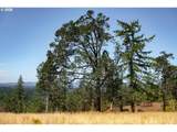 28797 Petes Mountain Rd - Photo 3