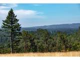 28797 Petes Mountain Rd - Photo 4