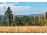 28797 Petes Mountain Rd - Photo 5