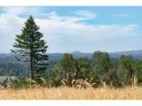 28797 Petes Mountain Rd - Photo 8