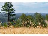 28797 Petes Mountain Rd - Photo 9