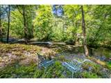 49091 Salt Creek Rd - Photo 6