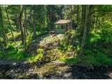 49091 Salt Creek Rd - Photo 9