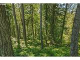 2425 Archwood Dr - Photo 46