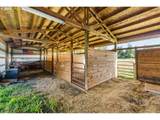 55942 Lost Valley Rd - Photo 45