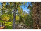 18520 Delenka Ln - Photo 39