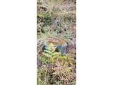  Indian Hills - Photo 30