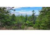  Indian Hills - Photo 4