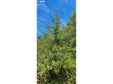 0 Pittsburg Rd - Photo 12