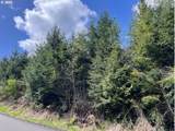  Palm Hill Rd - Photo 2