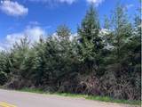  Palm Hill Rd - Photo 3