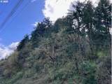  Palm Hill Rd - Photo 5