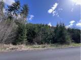  Palm Hill Rd - Photo 7