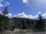  Palm Hill Rd - Photo 8