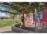 69431 Antles Ln - Photo 28