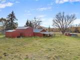 69431 Antles Ln - Photo 40