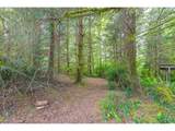 83224 Clear Lake Rd - Photo 43