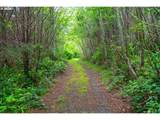  Usfs 5591 - Photo 15