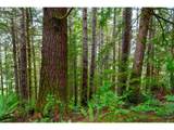  Usfs 5591 - Photo 16
