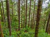  Usfs 5591 - Photo 17