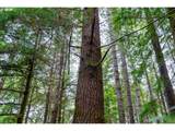  Usfs 5591 - Photo 18