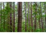 Usfs 5591 - Photo 19