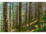  Usfs 5591 - Photo 20