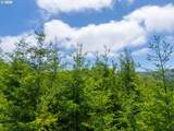  Usfs 5591 - Photo 21