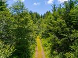  Usfs 5591 - Photo 23