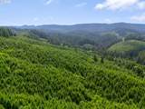  Usfs 5591 - Photo 3
