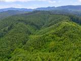  Usfs 5591 - Photo 4