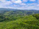  Usfs 5591 - Photo 9