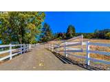 1068 Rice Creek Rd - Photo 45